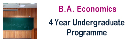 4 year undergraduate programme